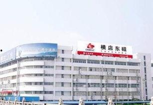 横店东磁最新爆料,揭秘企业创新与发展新篇章  第1张