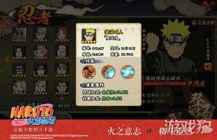 最新198忍者爆料,揭秘神秘组织内幕与惊人真相  第3张